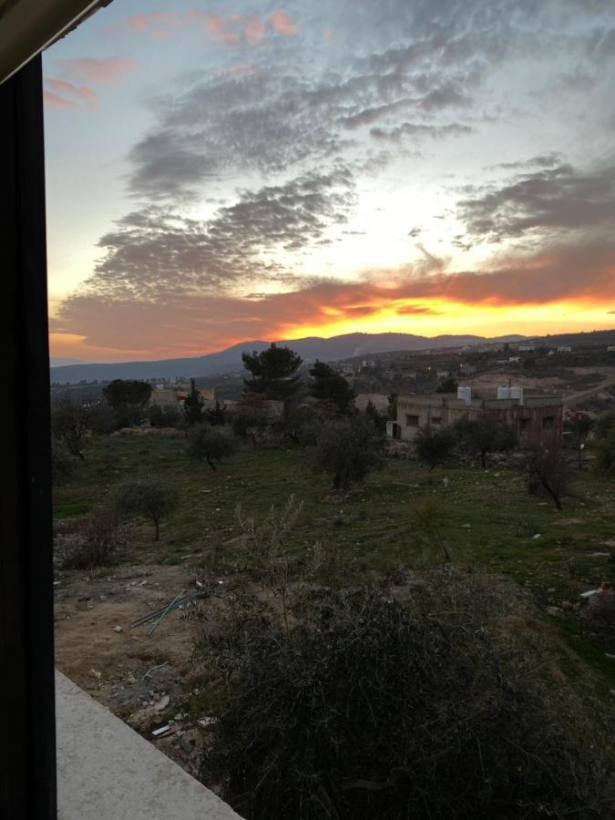 Jarash Gate Suite Eksteriør billede